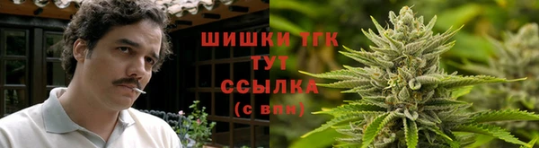 ECSTASY Абаза
